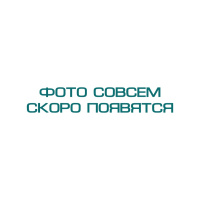 ЭЛФОР-ПРОФ 2.0